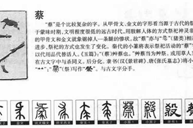 蔡字五行属什么