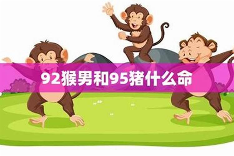 92猴95猪八字合不合