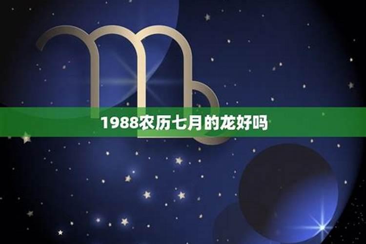 1988年农历七月的龙