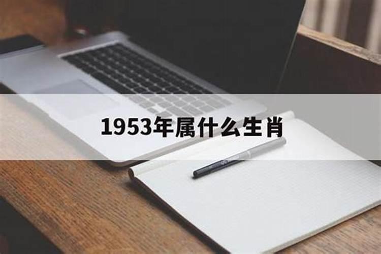 1953年属什么的最佳配偶呢