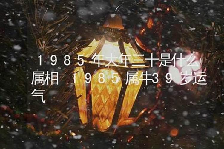 1985属相是什么