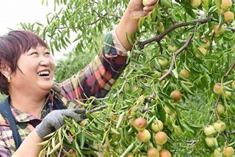 狮子女能拿住天秤男吗