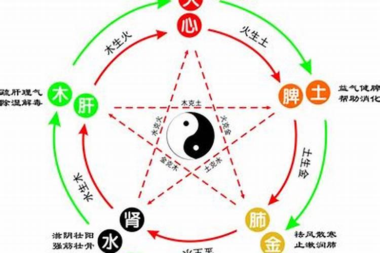 梓在五行中属什么名字