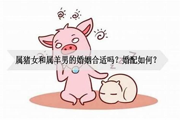 男猪配女猪婚姻好不好