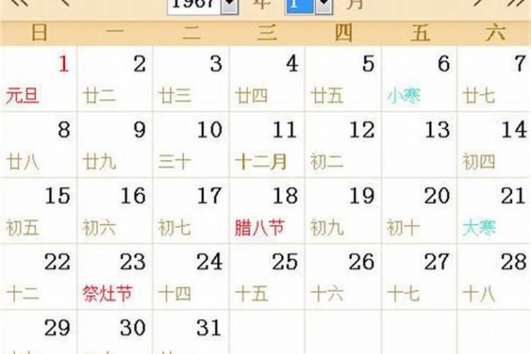 11月4日什么星座