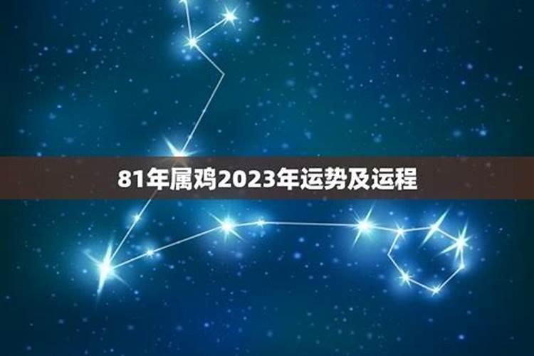 2023年1981年属鸡人的全年运势男性