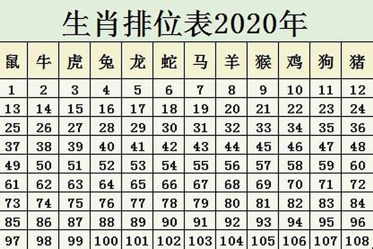 04是什么生肖码2021