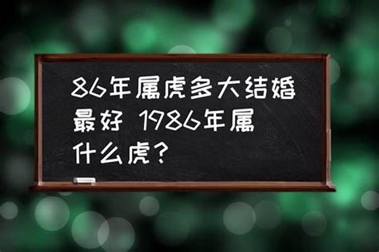 1986年属什么多大