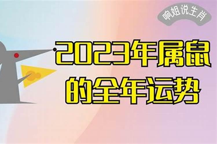 2023年鼠人运势运程1996