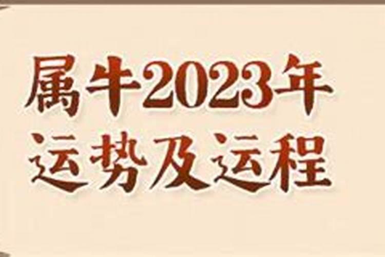 2023属牛全年运势