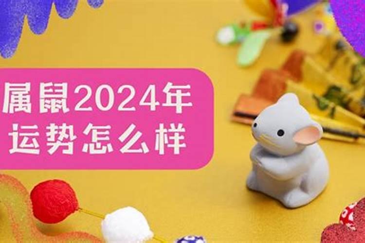 2024属鼠全年运势