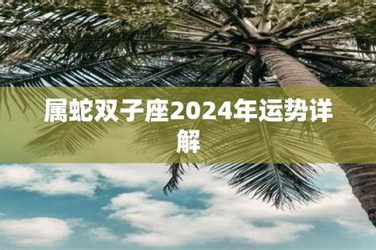 蛇双子座2021年运势