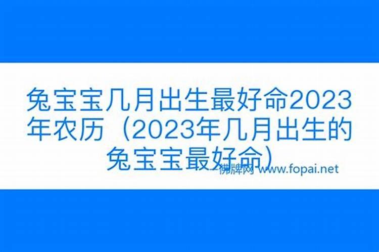 2023年兔宝宝运势