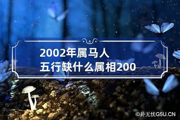 2002年属马的五行属什么水