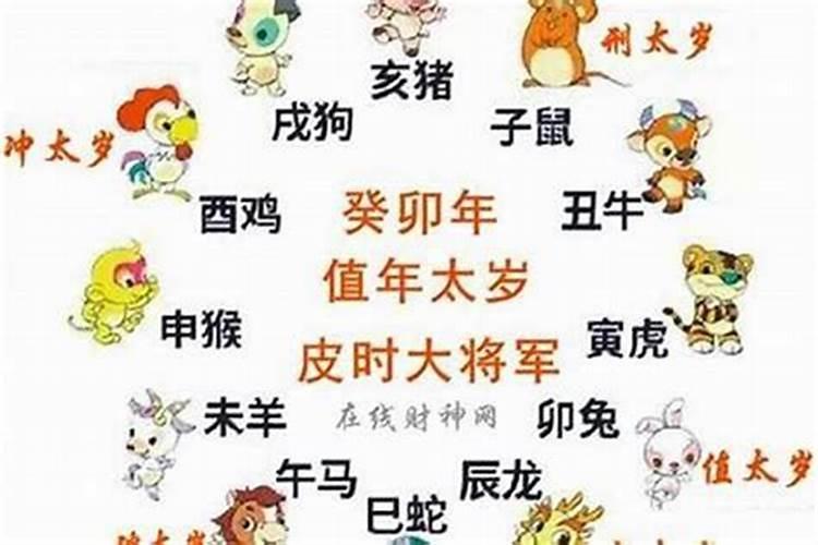 属蛇的今年犯什么星