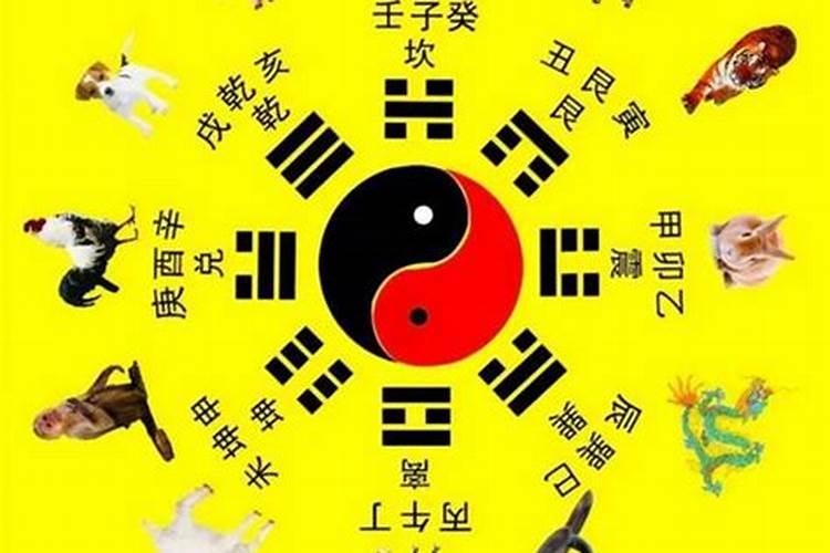 震卦五行属什么属性