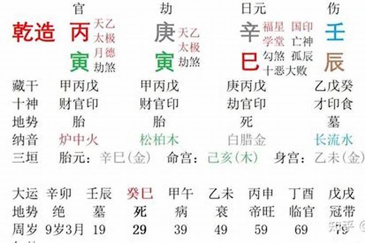 辛巳时柱男的八字