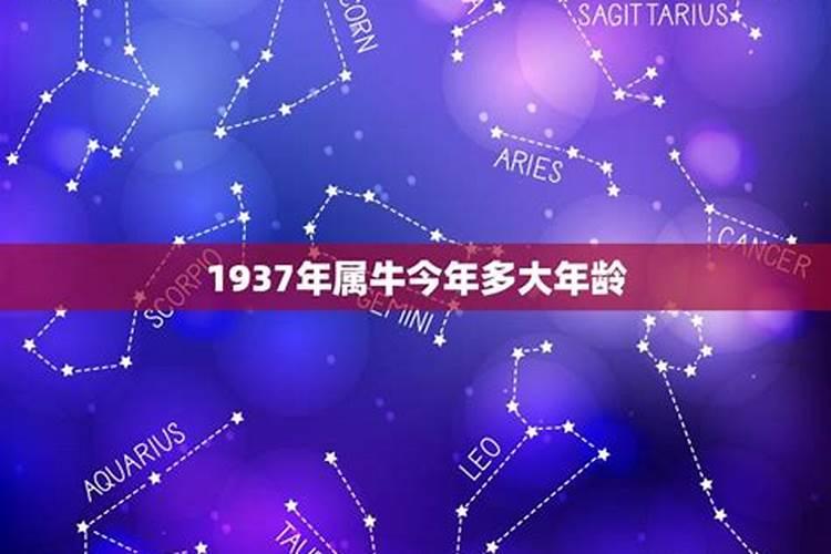 属牛1937年生属牛今年身体如何