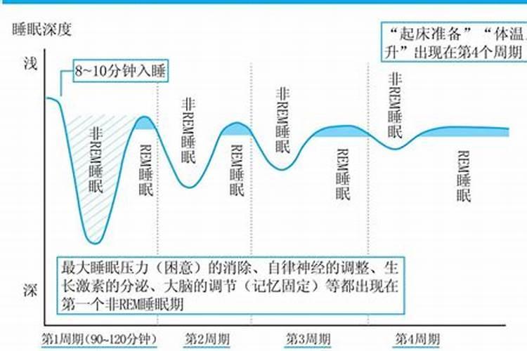 普通心理学梦与睡眠