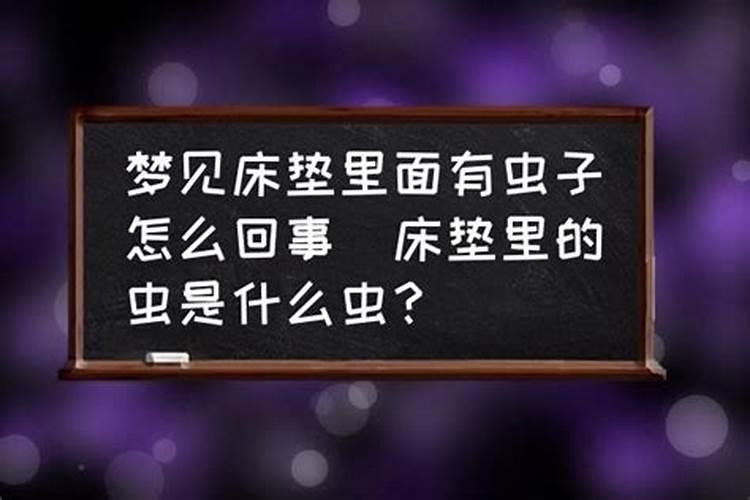 梦到许多虫子怎么回事