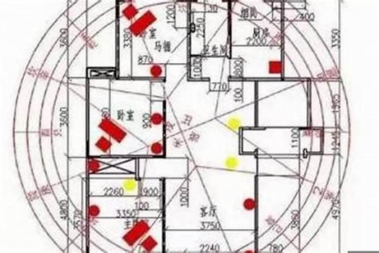 什么叫做坐东向西