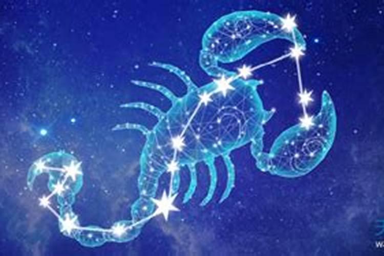 天蝎座属于什么星象的星座