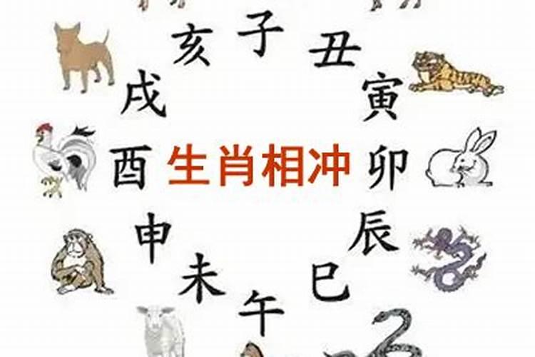 今日生肖相冲查询2021年