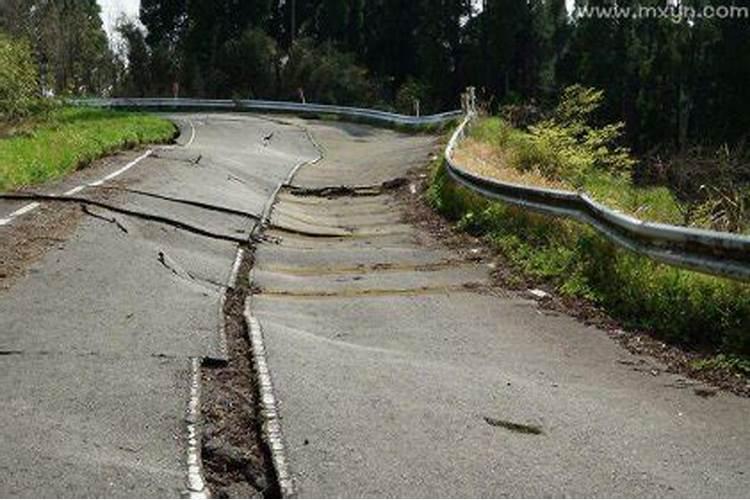 梦见地震了逃跑预示什么