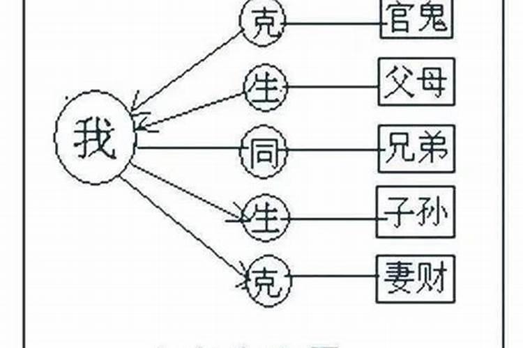 仙人掌放在哪里招财