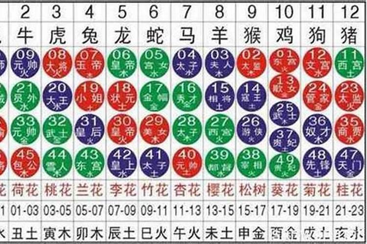 202112生肖数字表