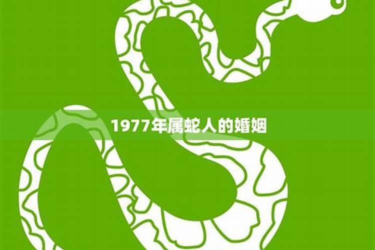 属蛇1977年四十以后婚姻如何