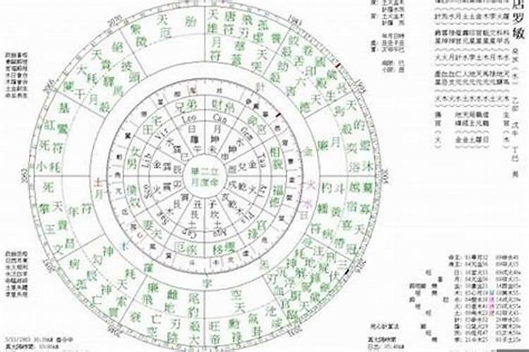 太阳星旺入夫妻宫