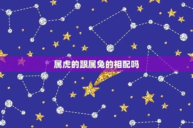 2月20日上升星座是什么星座