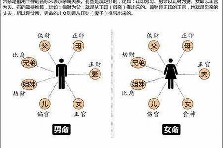 十神与六亲的对应关系