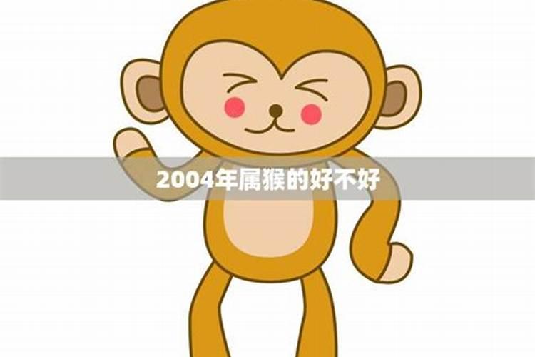 2004年属猴的学业怎么样