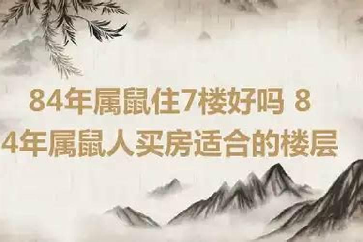 属鼠的人购房,最宜买哪几层