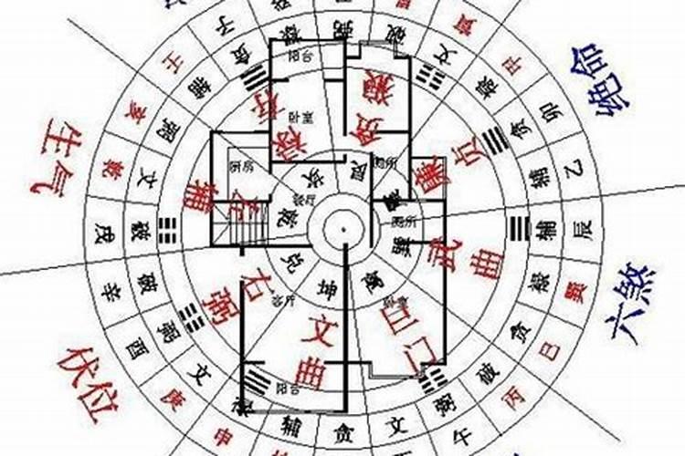 属兔的人住什么方位的房子好吉利