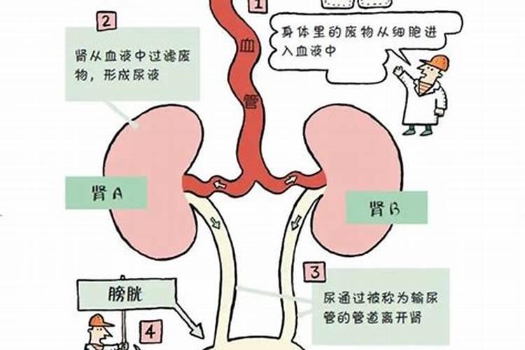 属马适合住几楼