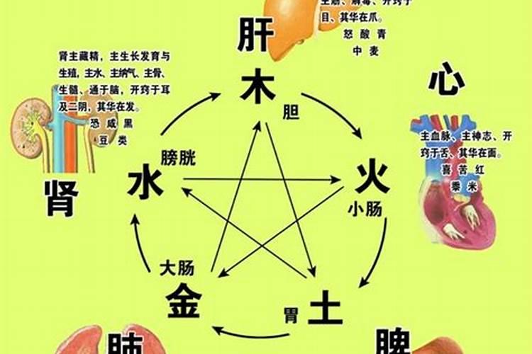 阴阳五行取名方法