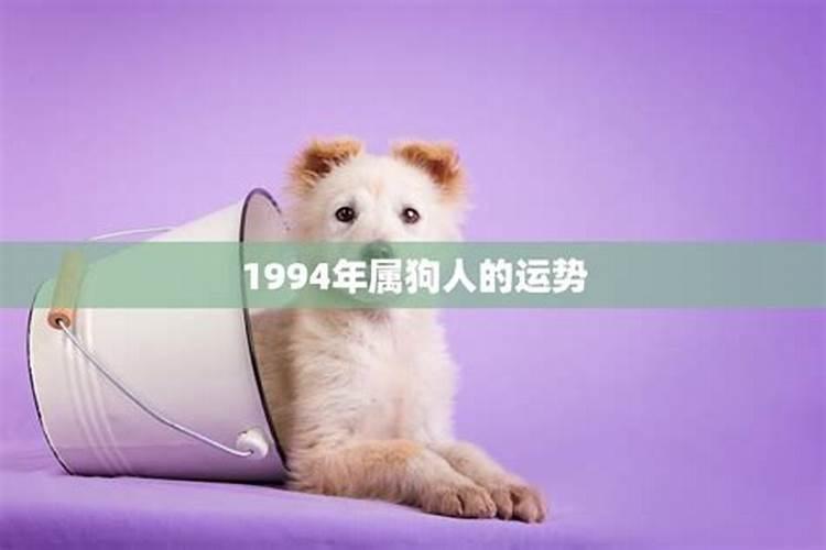 属狗1994年2022年运势