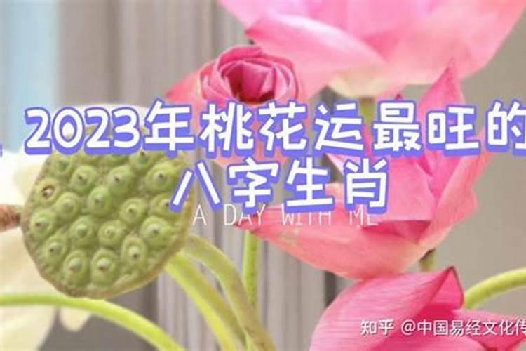 2020年有桃花运的属相