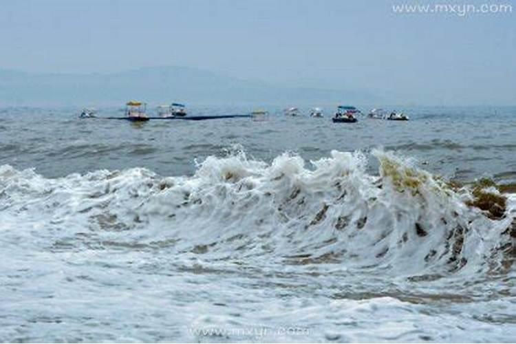 梦见海水涌上来是什么征兆自己跑海水追