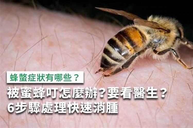 梦到被蜜蜂咬什么意思