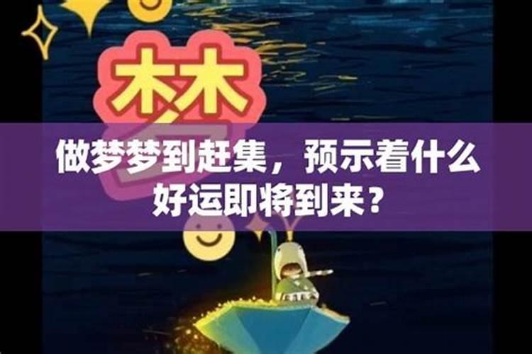 梦见什么运气最好