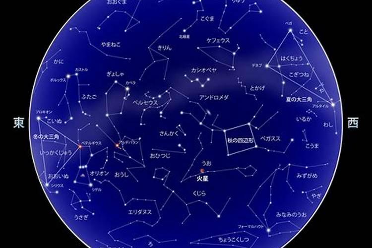 2020年12月11号星座运势