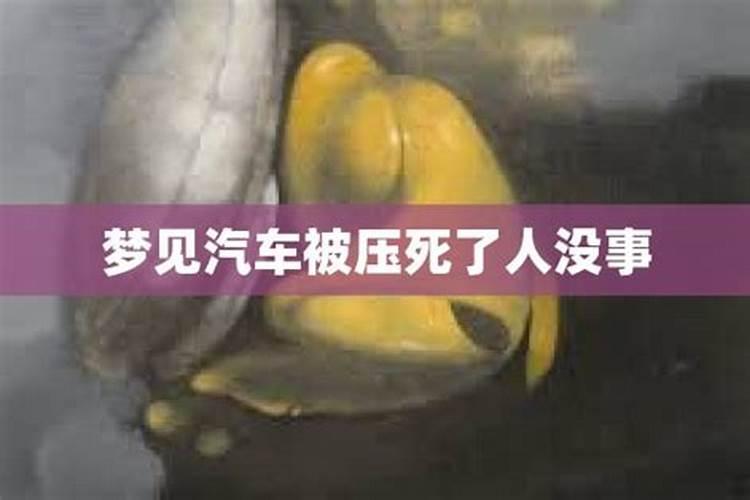 梦见陌生人被车压得四分五裂