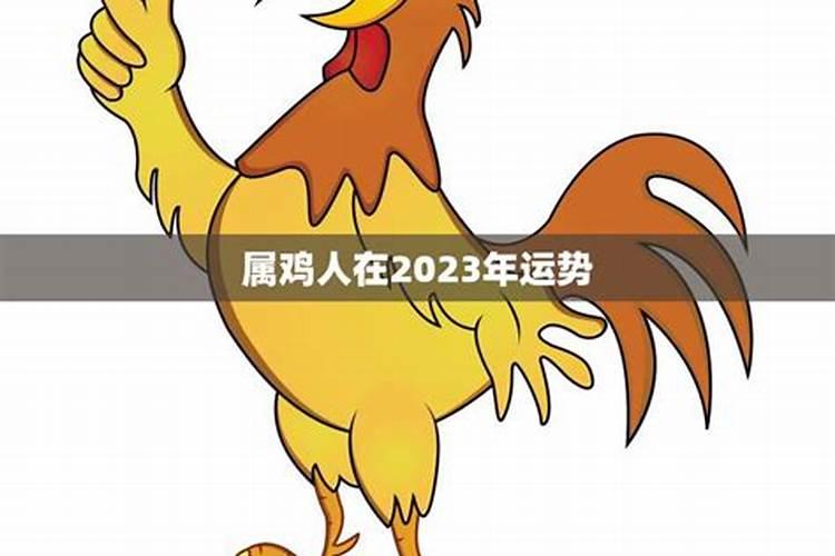 属鸡人在2023年运势