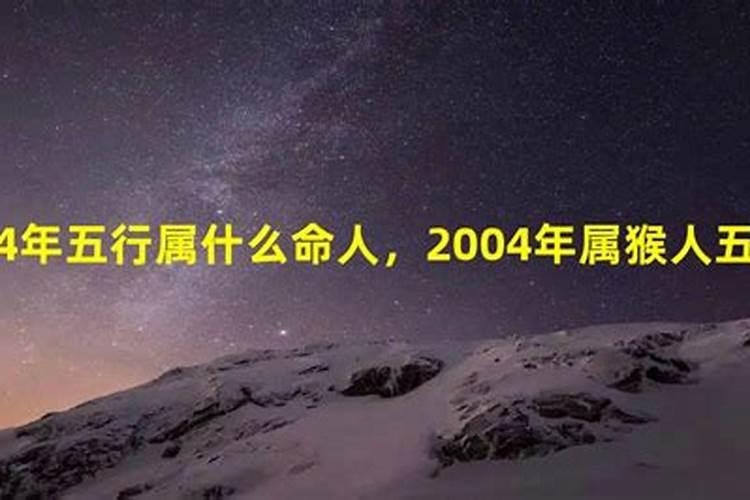 2004年属于什么五行行业