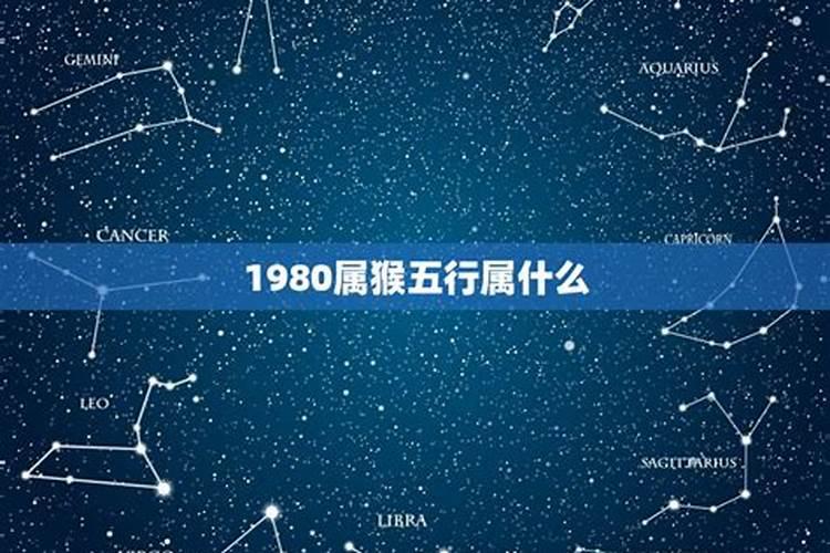 1980五行是什么属性