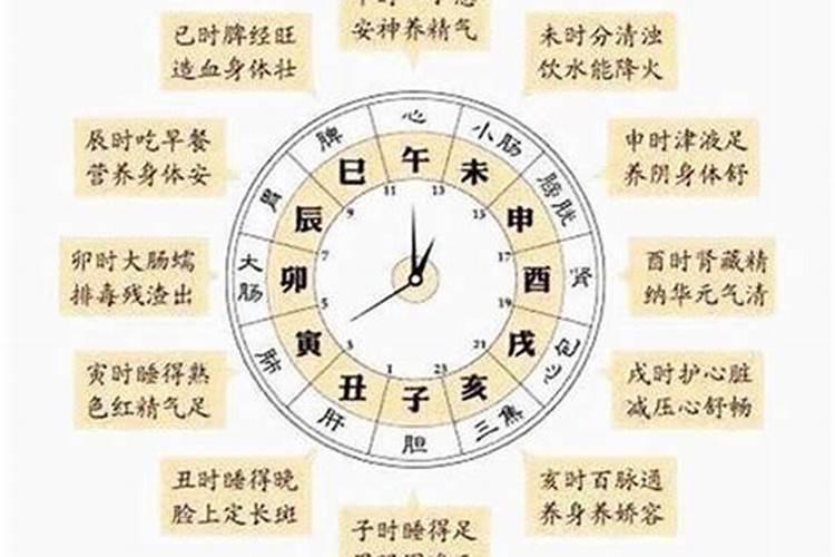 十二生肖里为什么有龙